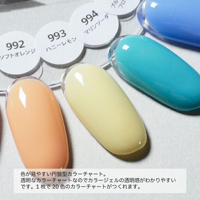 ネイル カラーチャート／クリア／２０色